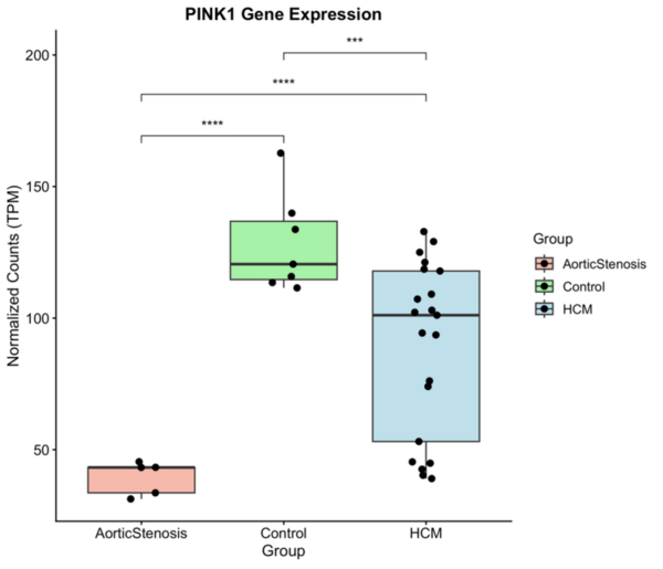 Cover photo for Multi-omic analysis identifies mitochondrial dysfunction as a key feature of hypertrophic cardiomyopathy