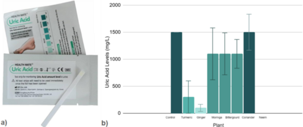 Cover photo for Investigating the effectiveness of ayurvedic plants on lowering uric acid levels to combat hyperuricemia