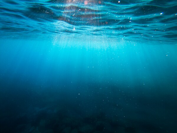 Cover photo for The effect of pH levels on the growth rate of diatoms