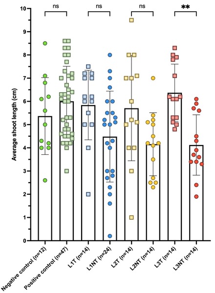 Cover photo for Exogenous foliar thiamine application as an alternative strategy to mitigate lead stress in <i>Lepidium sativum</i>