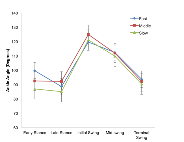 Stride Frequency, Body Fat Percentage, and the Amount of Knee Flexion Affect the Race Time of Male Cross Country Runners