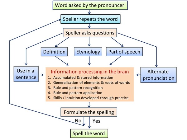 Spelling Bee: A Study on the Motivation and Learning Strategies Among Elementary and Junior-High Student Competitors