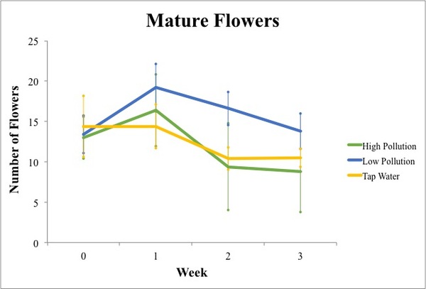 Negative Effects of Pollution on English Daisy (<i>Bellis perennis</i>) Height and Flower Number