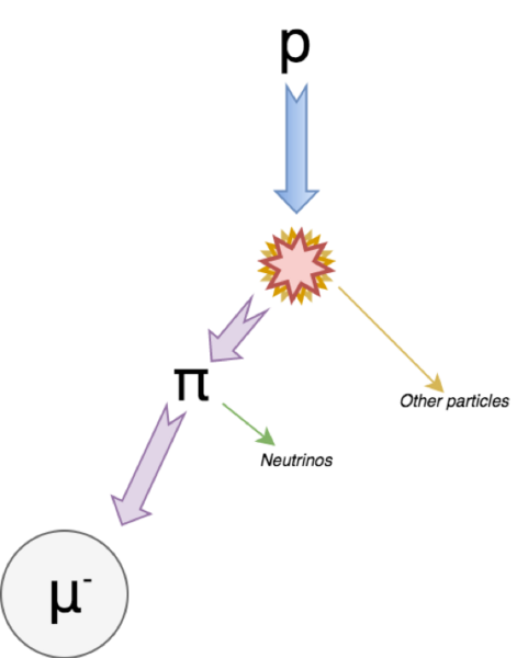 Factors Influencing Muon Flux and Lifetime: An Experimental Analysis Using Cosmic Ray Detectors