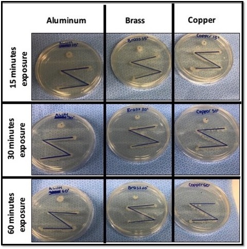 Cover photo for Antibacterial Effects of Copper Surfaces