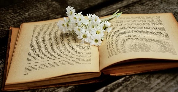 A Novel Model to Predict a Book's Success in the New York Times Best Sellers List