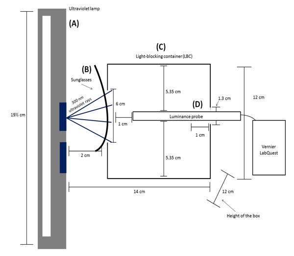 The Effect of Sunglass Price on Ocular Exposure to Ultraviolet Radiation