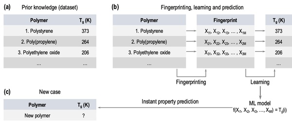 Assessing and Improving Machine Learning Model Predictions of Polymer Glass Transition Temperatures