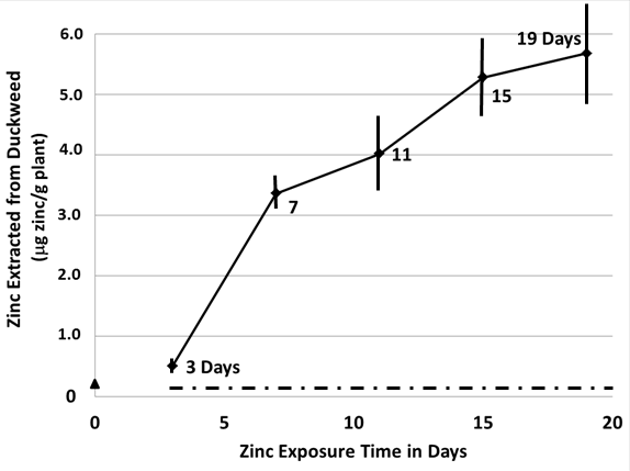 Dispersing Agents Prevent Negative Impact of Oil on Uptake of Zinc by Duckweed (<em>Lemna minor</em>)