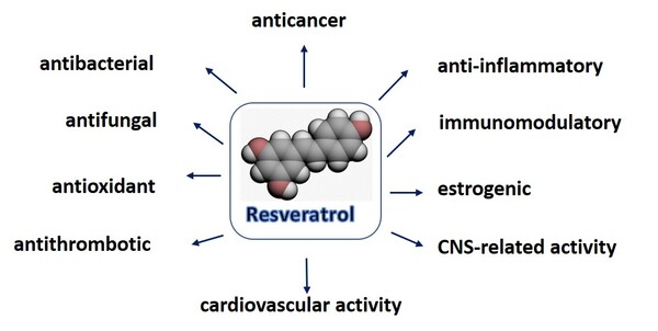 <em>In vitro</em> Comparison of Anticancer and Immunomodulatory Activities of Resveratrol and its Oligomers