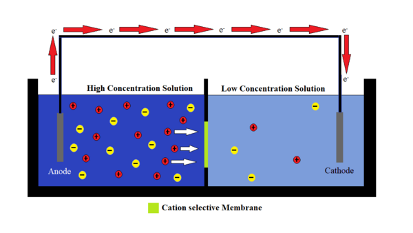 Testing Different Polymers and Boron Nitride Nanotube Properties in Fabrication of Ion-selective Membranes