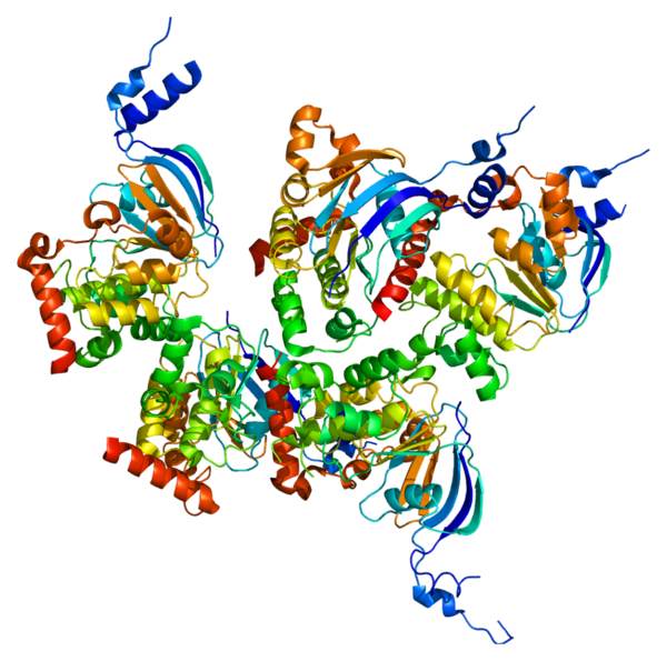 String analysis of exon 10 of the CFTR gene and the use of Bioinformatics in determination of the most accurate DNA indicator for CF prediction