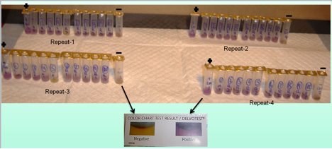 Antibiotic Residues Detected in Commercial Cow’s Milk