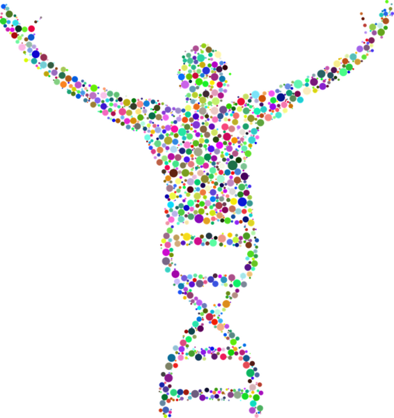 Examining the Accuracy of DNA Parentage Tests Using Computer Simulations and Known Pedigrees