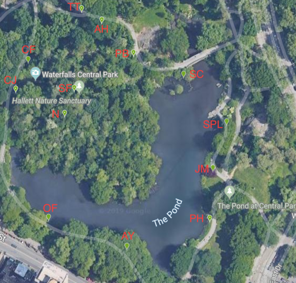Creating a Phenology Trail Around Central Park Pond