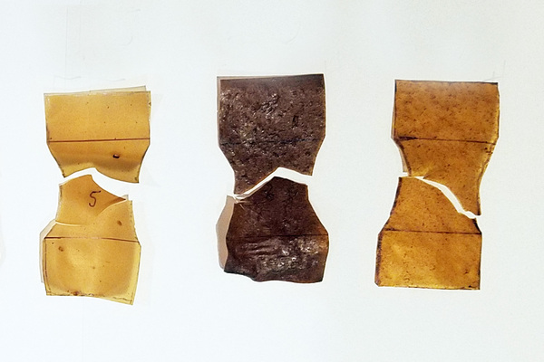 Comparing the Biodegradability of Petroleum-based Plastic with a Novel, Sustainable Bio-plastic Alternative