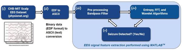 A Quantitative Assessment of Time, Frequency, and Time-frequency Algorithms for Automated Seizure Detection and Monitoring