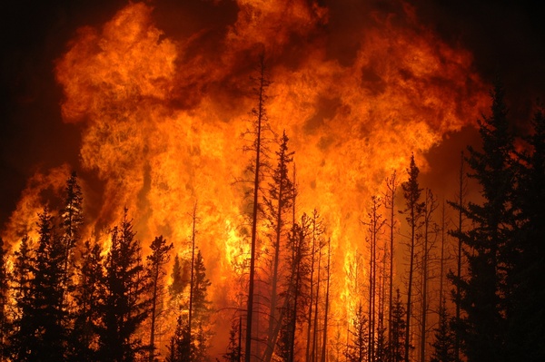 Ladder Fuel Treatments Effect Burn Area of Forest Fires in Semi-Arid High Elevation Climates