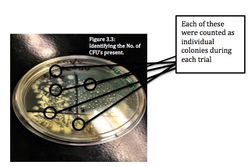 The Effects of Ultraviolet Light on <em>Escherichia coli</em>