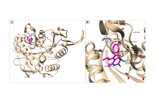 High-throughput virtual screening of novel dihydropyrimidine monastrol analogs reveals robust structure-activity relationship to kinesin Eg5 binding thermodynamics