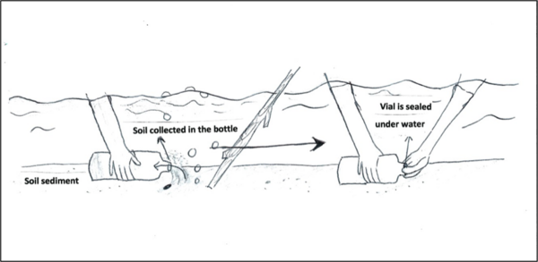Biowaste to Biofuel: Using Methane-Producing Microorganisms Found in Soil Samples from Local Wetlands