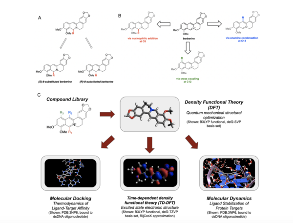 Computational Structure-Activity Relationship (SAR) of Berberine Analogs in Double-Stranded and G-Quadruplex DNA Binding Reveals Both Position and Target Dependence