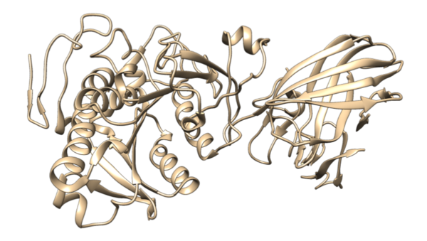 Spectroscopic Kinetic Monitoring and Molecular Dynamics Simulations of Biocatalytic Ester Hydrolysis in Non-Aqueous Solvent