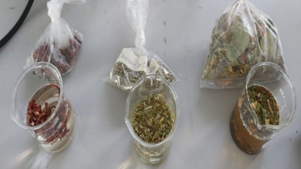 Alkaloids Detection in Commonly Found Medicinal Plants with Marquis Reagent