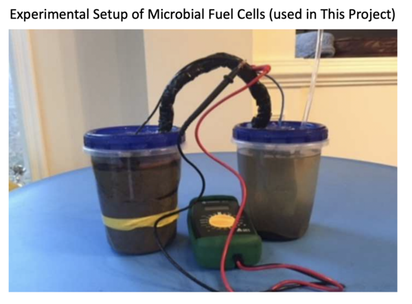 From Waste to Wealth: Making Millivolts from Microbes!