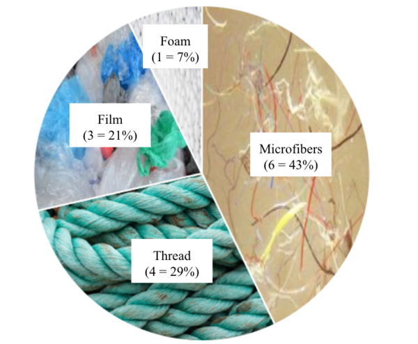 Evaluation of Microplastics in Japanese Fish Using Visual and Chemical Dissections