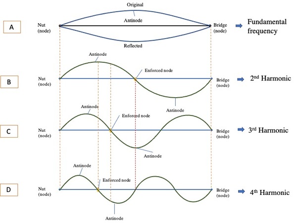 Analysis of Patterns in the Harmonics of a String with Artificially Enforced Nodes