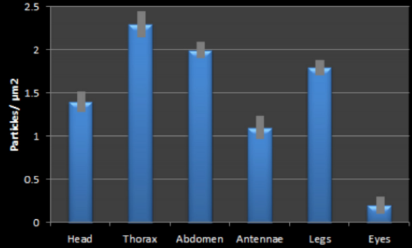 The Analysis of the Effects of Smoke and Water Vapor on Insect Pheromone Communication and Physical Condition: An Investigation of the Causes of Colony Collapse Disorder