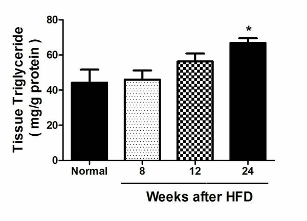 Molecular Alterations in a High-Fat Mouse Model Before the Onset of Diet–Induced Nonalcoholic Fatty Liver Disease