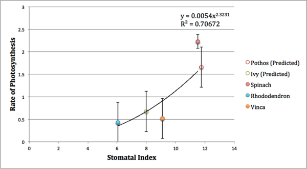 The Effect of the Stomatal Index on the Net Rate of Photosynthesis in the Leaves of <i>Spinacia oleracea</i>, <i>Vinca minor</i>, <i>Rhododendron spp</i>, <i>Epipremnum aureum</i>, and <i>Hedera spp</i>