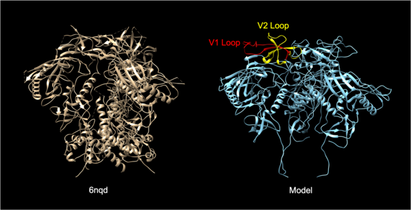 The analysis of the viral transmission and structural interactions between the HIV-1 envelope glycoprotein and the lymphocyte receptor integrin α4β7