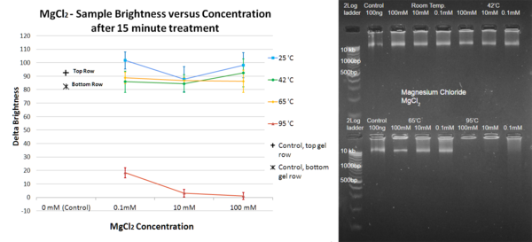 The Effect of Common Cations on DNA Degradation