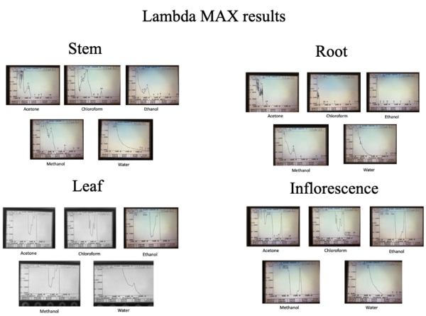 Phytochemical Analysis of <em>Amaranthus spinosus</em> Linn.: An <em>in vitro</em> Analysis