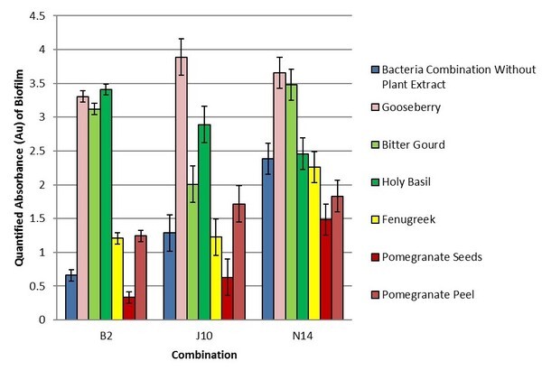 Assaying the Formation of Beneficial Biofilms by Lactic Acid Bacteria and the Effect of Ayurvedic Plant Extracts on Their Enhancement