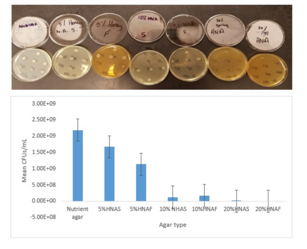 Fall and Spring Honeys Are Equally Effective at Reducing Growth Numbers of E. coli, S. aureus, P. aeruginosa, and S. epidermidis