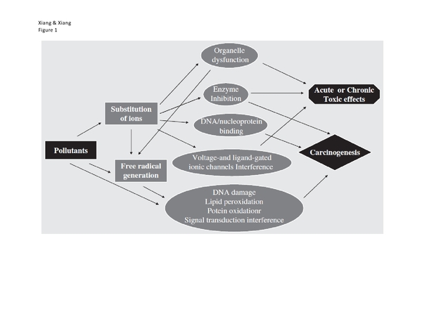 Estimating the Carcinogenic Risks of Major Pollutants Released into the Environment