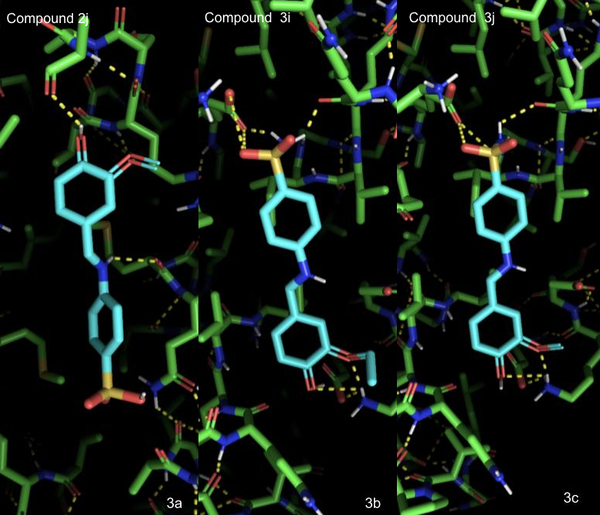 Novel biaryl imines and amines as potential competitive inhibitors of dihydropteroate synthase