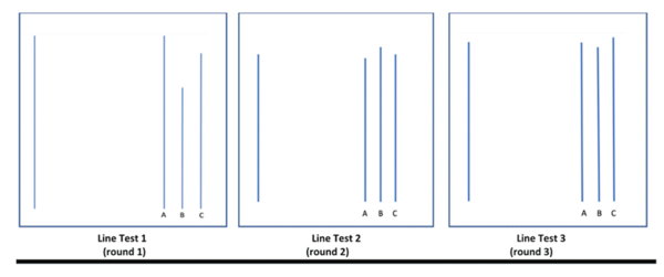 The Tendency of Teenagers to be Conformists and Follow the Crowd