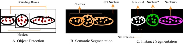 The Role of a Mask - Understanding the Performance of Deep Neural Networks to Detect, Segment, and Extract Cellular Nuclei from Microscopy Images