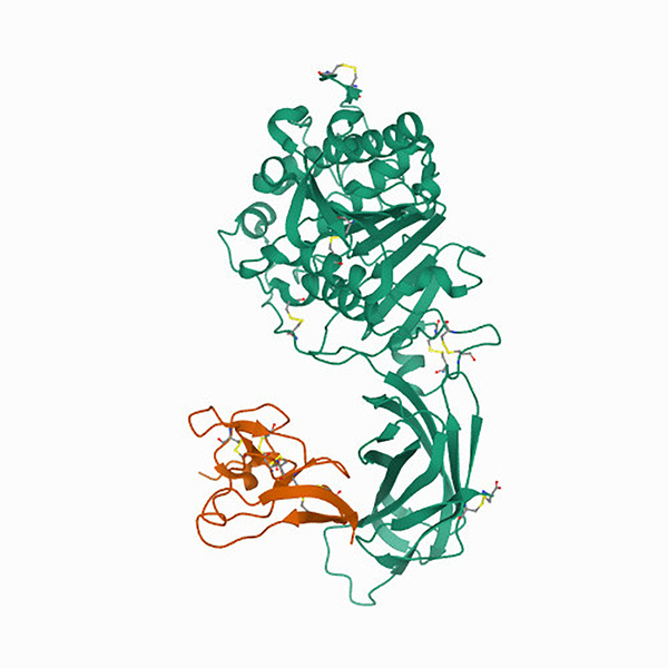 Hammett linear free-energy relationships in the biocatalytic hydrolysis of para-substituted nitrophenyl benzoate esters