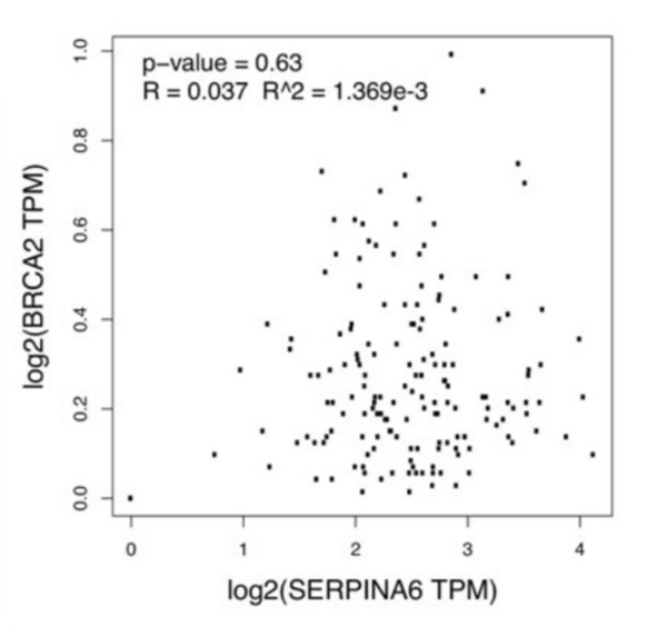 Expressional correlations between <em>SERPINA6</em> and pancreatic ductal adenocarcinoma-linked genes