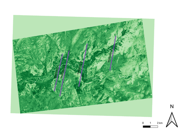 Presence of Vegetation in Relation to Slope in Yosemite Valley, California