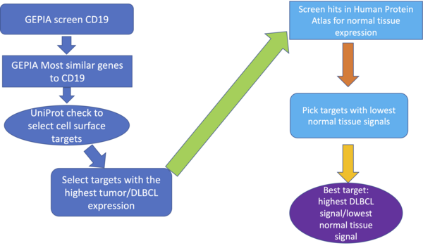 Discovery of novel targets for diffuse large B-cell lymphoma