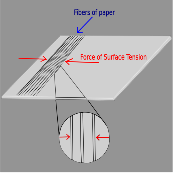 Determining surface tension of various liquids and shear modulus of paper using crumpling effect