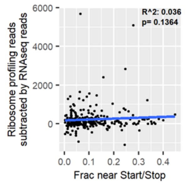 Ribosome distribution affects stalling in amino-acid starved cancer cells
