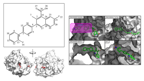 A new therapy against MDR bacteria by <em>in silico</em> virtual screening of <em>Pseudomonas aeruginosa</em> LpxC inhibitors